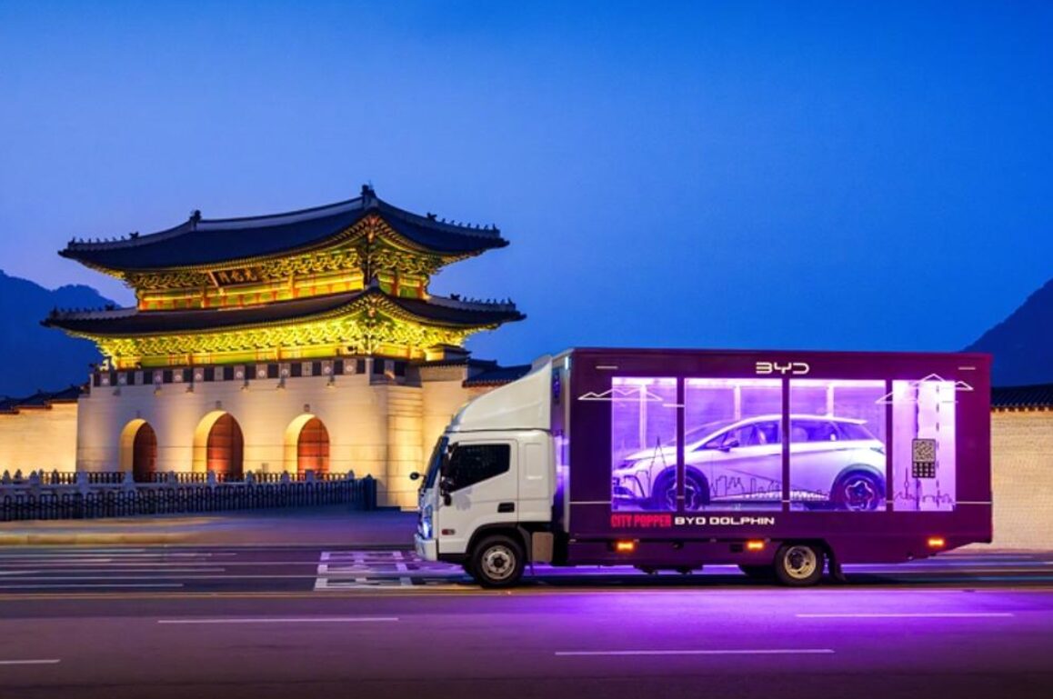 BYD맨시티,byd,맨시티방한,byd전기차